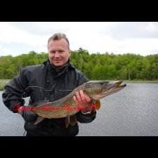 Freshwater Fishing Images - photo 12