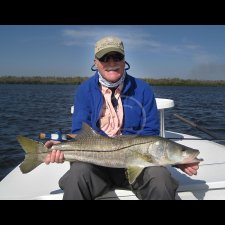 Saltwater Flyfishing Images - photo 57