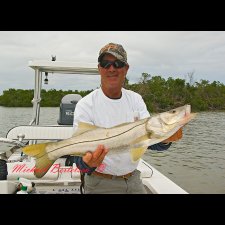 Light Tackle Saltwater Images - photo 7