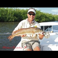 Saltwater Flyfishing Images - photo 52