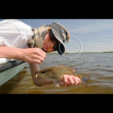 Saltwater Flyfishing Images - photo 49