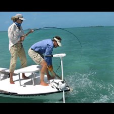 Saltwater Flyfishing Images - photo 13