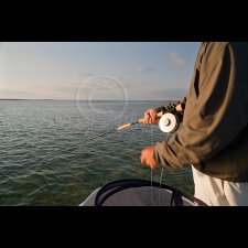 Saltwater Flyfishing Images - photo 42