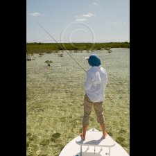 Saltwater Flyfishing Images - photo 25