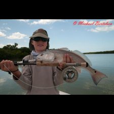 Saltwater Flyfishing Images - photo 35