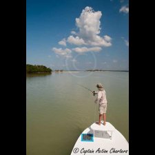 Saltwater Flyfishing Images - photo 8