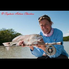 Saltwater Flyfishing Images - photo 32