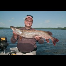 Freshwater Fishing Images - photo 9