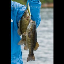 Freshwater Fishing Images - photo 8