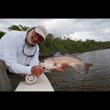 Saltwater Flyfishing Images - photo 6