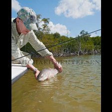 Saltwater Flyfishing Images - photo 10