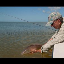 Saltwater Flyfishing Images - photo 0