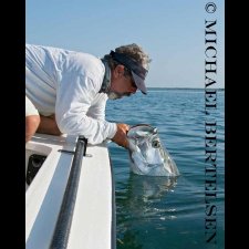 Saltwater Flyfishing Images - photo 1