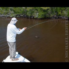 Saltwater Flyfishing Images - photo 16